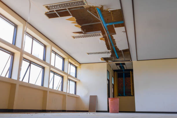 Best Water damage restoration cost  in Rawls Springs, MS