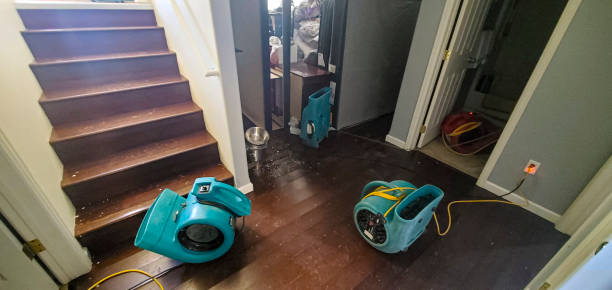 Water damage restoration process in MS
