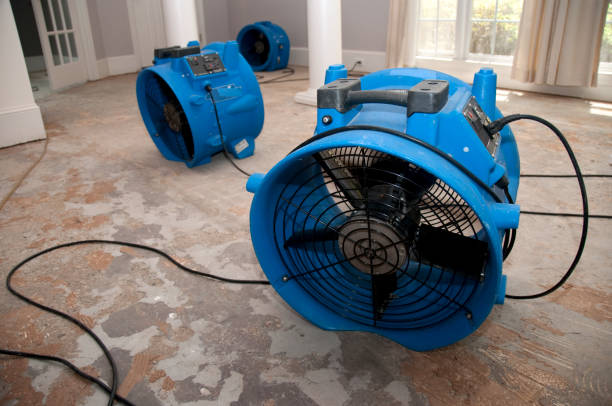 Best Flood restoration services  in Rawls Springs, MS