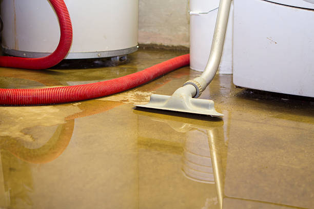 Best Residential water damage restoration  in Rawls Springs, MS