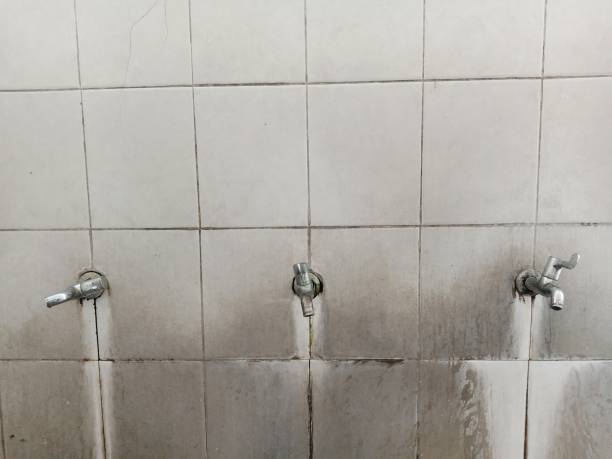 Best Carpet water damage restoration  in Rawls Springs, MS