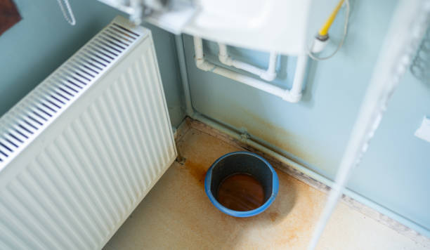 Best Ceiling water damage repair  in Rawls Springs, MS