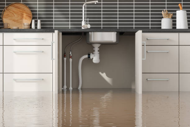 Best Water damage mitigation services  in Rawls Springs, MS