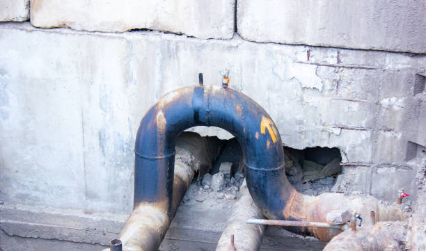 Best Local water damage restoration  in Rawls Springs, MS