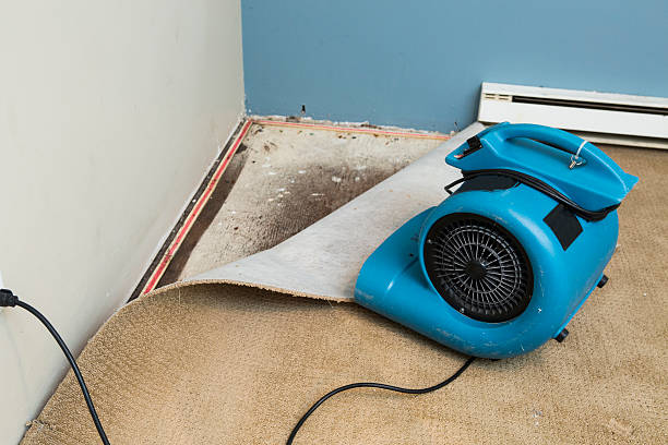 Best Water damage restoration near me  in Rawls Springs, MS